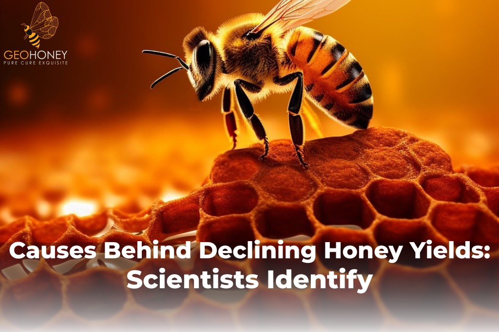 Scientists Identify Causes Behind Declining Honey Yields